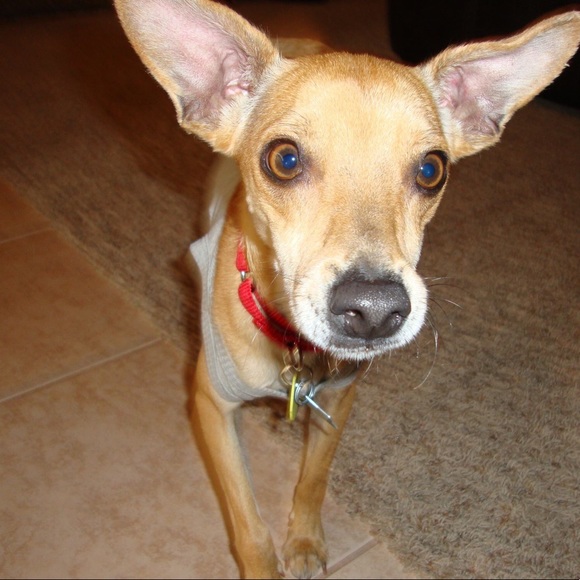 Meet your Posher, Colleen - Picture 1 of 4